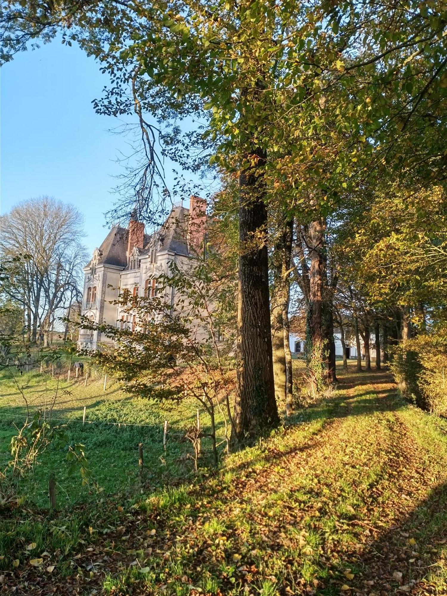 Le Chateau Du Grand Coudray Villaines-la-Juhel Ngoại thất bức ảnh